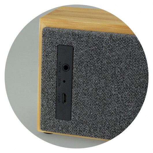Erik 10W Bluetooth Speakers Plugs